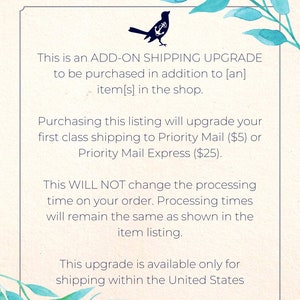 Shipping Upgrade Add-On image 2