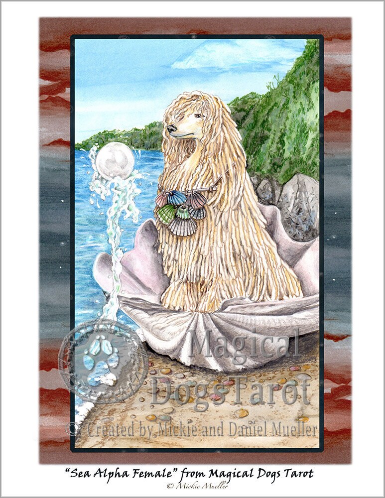 Can Female Dogs Be Alpha