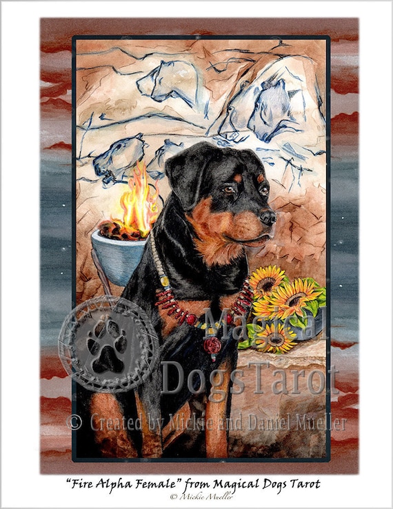 Can Female Dogs Be Alpha