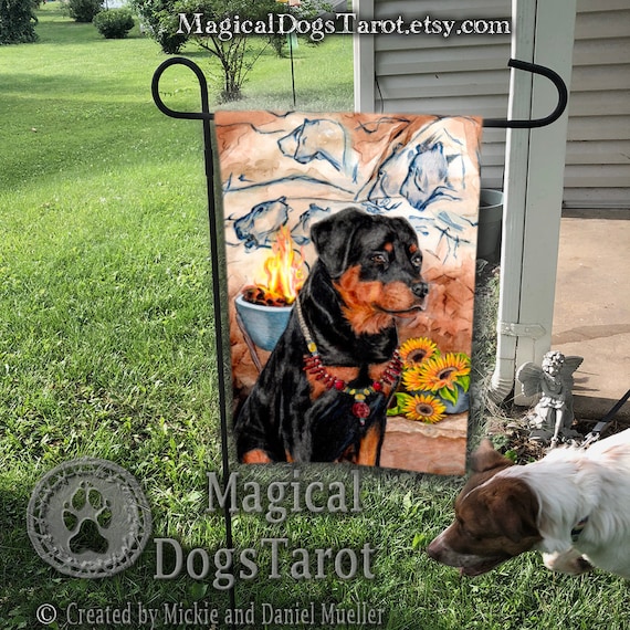 Can Female Dogs Be Alphas