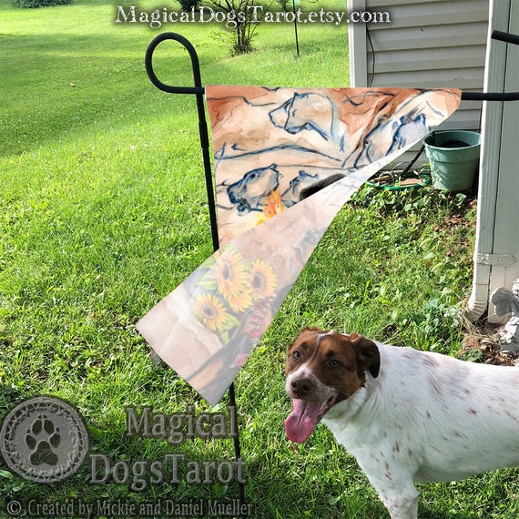 Can Female Dogs Be Alpha