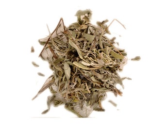 Sage Tea Organic, Salvia Officinalis, Common Sage , Wild Albanian Sage, Dried Sage Tea, Sage Cooking Herb , Wild Harvested