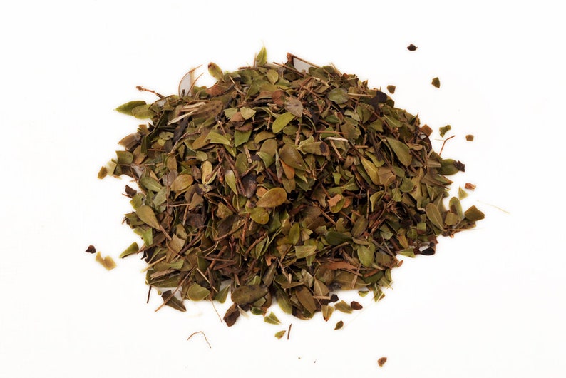 Organic Bearberry Tea Dried Leaves, Arctostaphylos, Uva ursi, Natural, Albanian Organic Superior Quality Fresh Relaxing tea image 1