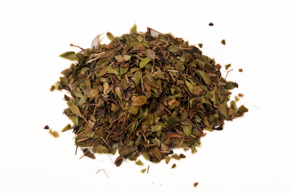 Organic Bearberry Tea Dried Leaves, Arctostaphylos, Uva Ursi, Natural