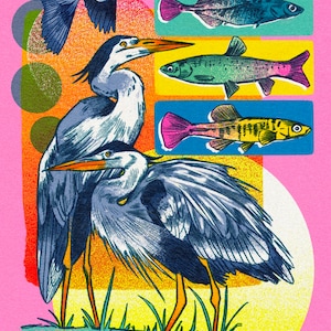 Great Blue Heron Print