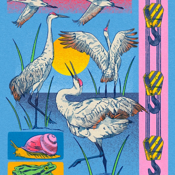 Sandhill Crane - Etsy