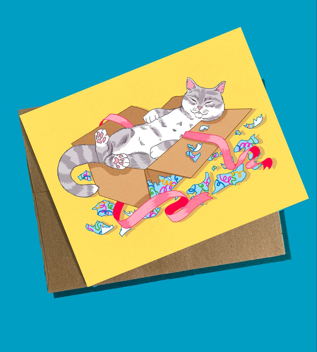 Box Cat Birthday Card - Etsy