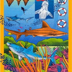 Cartão postal da semana do tubarão