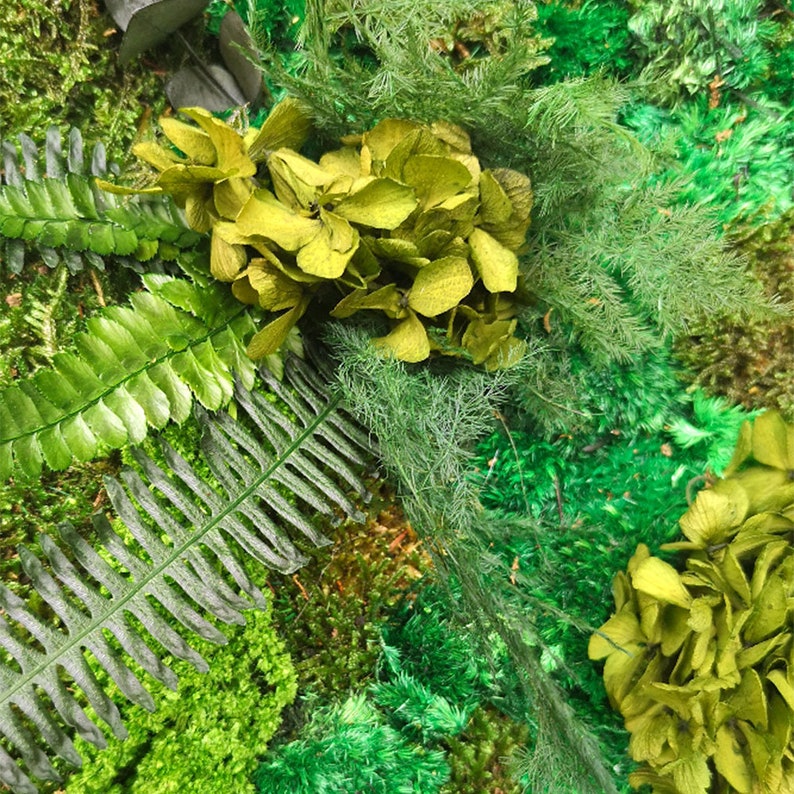 Moss Wall Art 16x16.Moss Art Work.Preserved Moss.Eco Etsy
