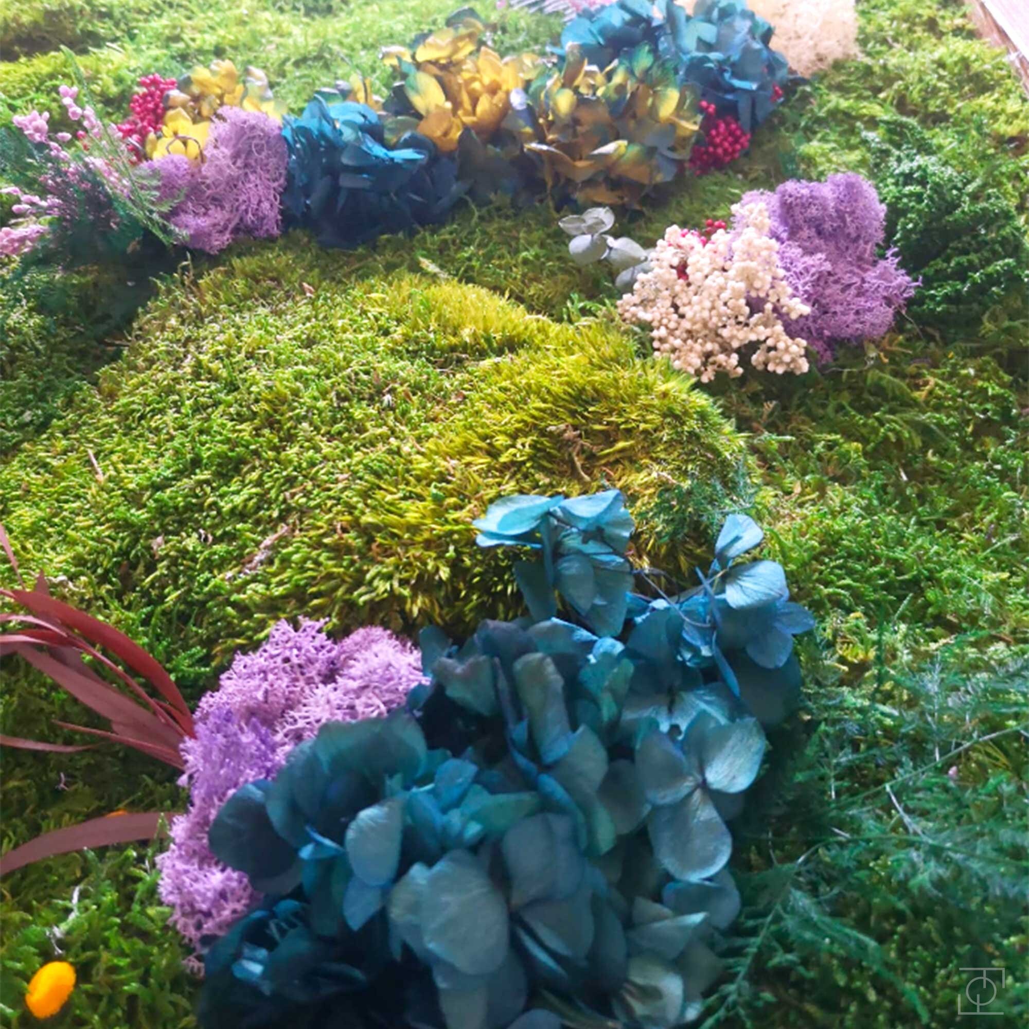 mossart download mossart download