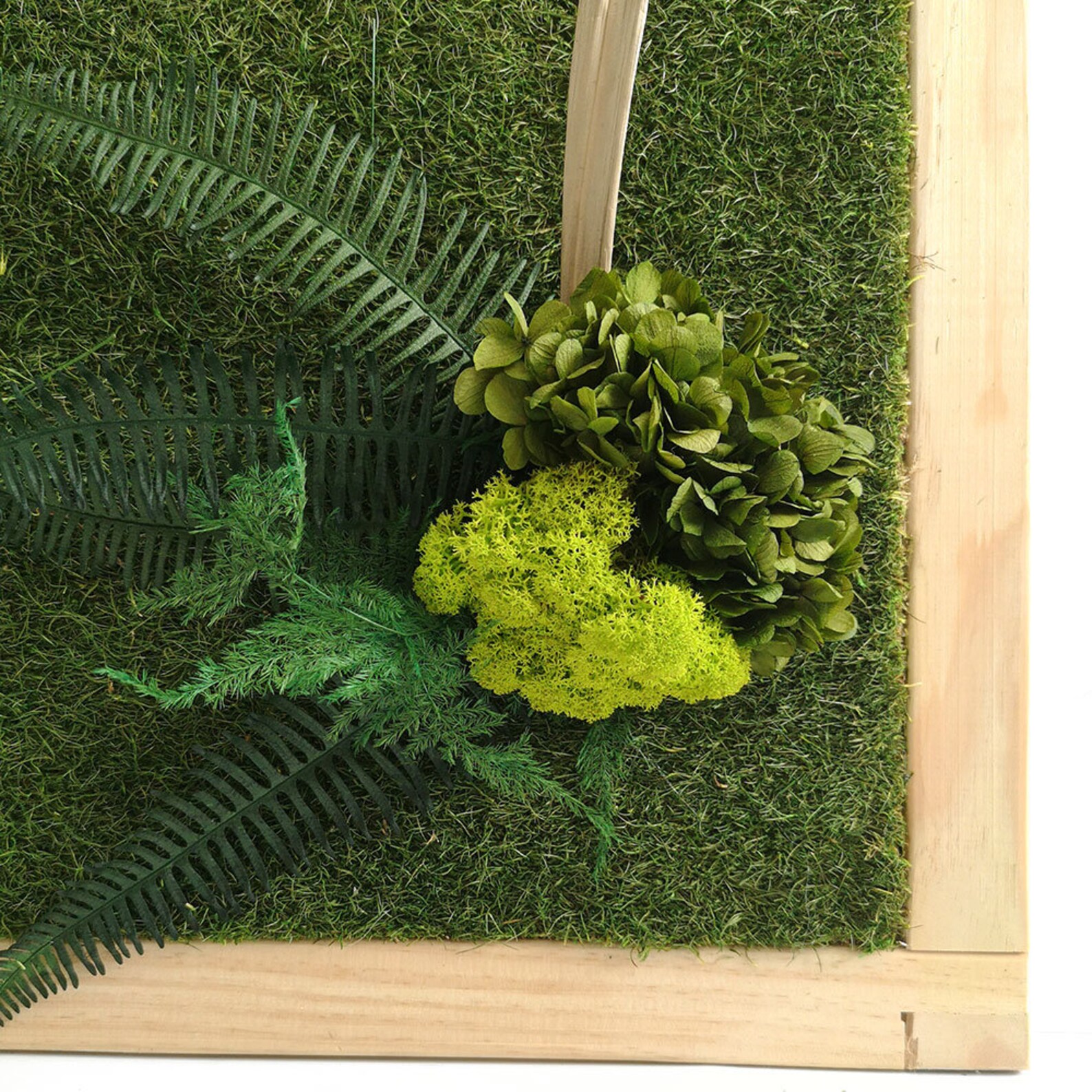 Grass Wall Art 39x16.Moss Art Work.Preserved Grass.Eco Etsy