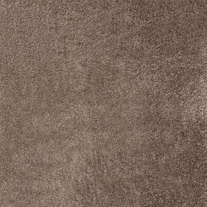 May include: Close-up of a textured, brown carpet. The carpet has a dense, plush pile, with variations in color creating a mottled appearance. The overall effect is a warm, neutral tone, suitable for various interior design styles.