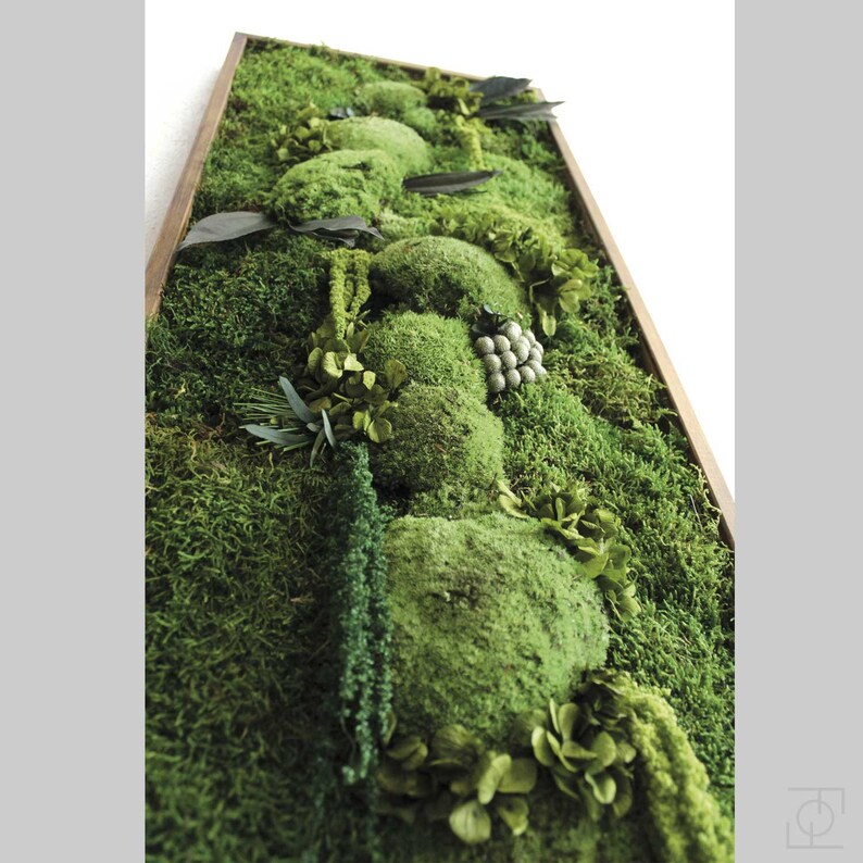 Moss Wall Art 39x16.Moss Art Work.Preserved Moss.Eco Etsy