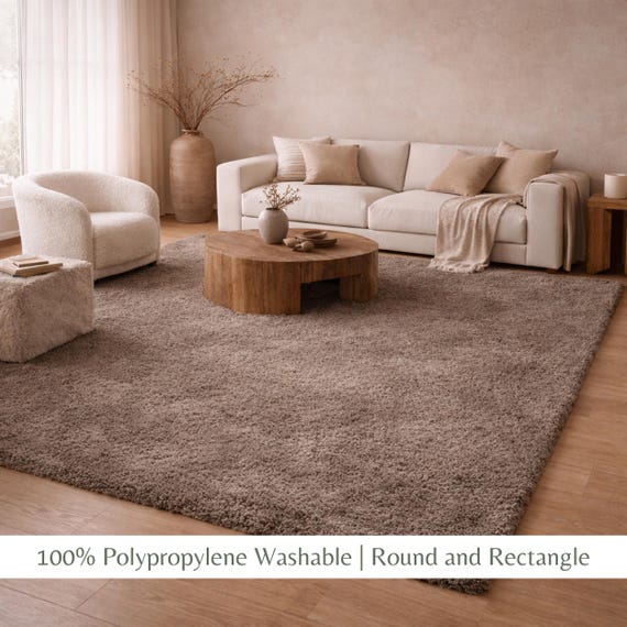 Fluffy Shag Area Rugs For Living Room Bedroom High Pile Extra Soft Several Color and Sizes