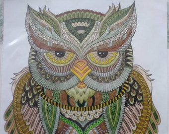 OOAK Original Colored Pencil Drawing of Owl