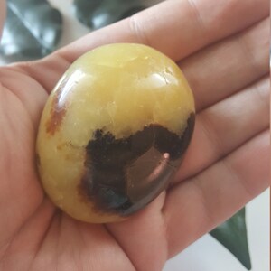 2 3/8&quot; Septarian Palm Stone - Crystal Healing • Metaphysical • Understanding • Happiness • Communication • Strength • Sacral • Root