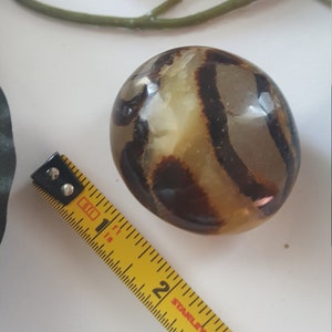 2 1/4&quot; Septarian Palm Stone - Crystal Healing • Metaphysical • Understanding • Happiness • Communication • Strength • Sacral • Root
