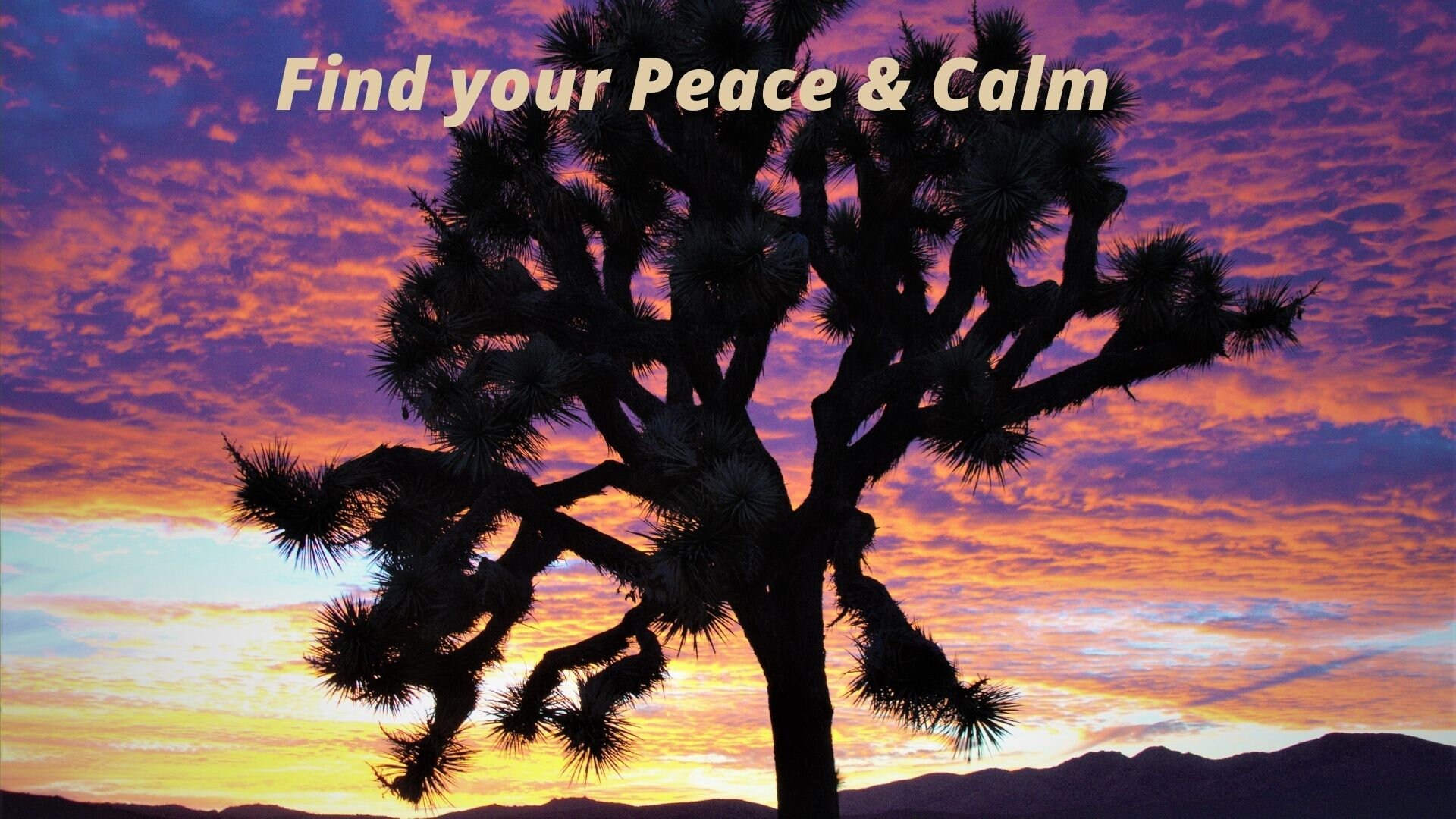Find Your Peace and Calm Desktop or Laptop Wallpaper Instant - Etsy Find Your Peace and Calm Desktop or Laptop Wallpaper Instant - Etsy