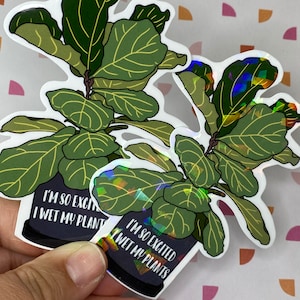 Könnte beinhalten: Zwei Aufkleber mit einer Geigenfeige in einem dunkelblauen Topf. Die Pflanze hat große grüne Blätter mit gelben Adern. Der Topf trägt den weißen Text "I'M SO EXCITED I WET MY PLANTS". Die Aufkleber haben einen holografischen Effekt.