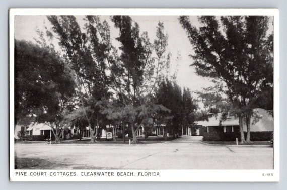 Vintage Postcard Florida Clearwater Beach Pine Court Cottages Etsy