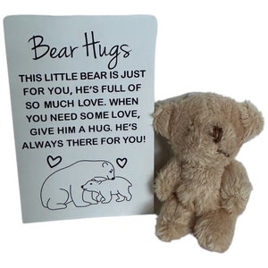 Câlin de poche || Câlin avec un ours || Carte à message positif || Boîte Câlin d'ours ||Mini ours de poche||Câlin d'ours avec carte ||Câlins d'amour || Petit cadeau Bearg