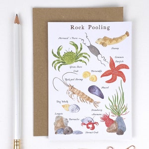 Rots bundelen wenskaart | Blanco A6-kaart | Blanco notitiekaart | Krabkaart | Zeester | Heremietkreeft | Linda Fox Design