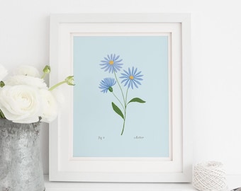 Aster Floral Art Print: September Birth Flower, Botanical Illustration