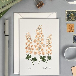 Biglietto di auguri floreale vuoto / Fiori del mese di nascita Delphinium / Biglietto illustrato A6 con arte botanica / Compleanno di luglio / Biglietto per neonato / Linda Fox