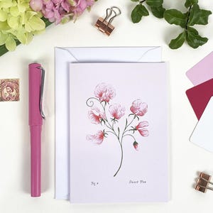Biglietto di auguri floreale vuoto / Fiori del mese di nascita / Biglietto illustrato con pisello odoroso / Biglietto botanico A6 / Compleanno di aprile / Biglietto per neonato