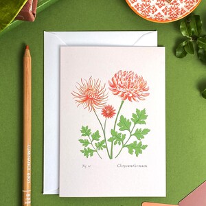 Biglietto di auguri floreale vuoto A6 con crisantemo / Fiori del mese di nascita / Biglietti d'arte illustrati / Compleanno di novembre / Biglietto per neonato / Linda Fox