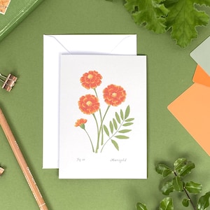 Lege bloemengoudsbloemwenskaart | Bloemen geboortemaand | Geïllustreerde A6 kaart met botanische kunst | Verjaardag oktober |Nieuwe babykaart | Linda Fox