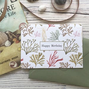 d'anniversaire aux algues | Carte de joyeux anniversaire A6 | Linda Fox Design