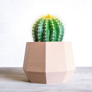 Puede incluir: Un pequeño cactus verde con espinas amarillas se encuentra en una maceta geométrica de color marrón claro. La maceta tiene forma hexagonal y está hecha de un material texturizado.