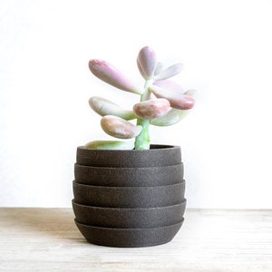 May include: A small succulent plant with light green and pink leaves growing in a dark brown, stacked planter.