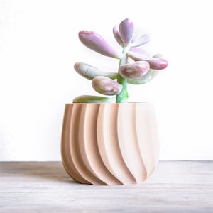 May include: A succulent plant with fleshy, pink leaves growing in a light brown, wavy-textured ceramic pot.