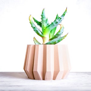 Wood Cache Pot | Wood Plant Pot | Succulent Plant Stand | Succulent desk planter | Wood Air plant holder | Wooden Vase