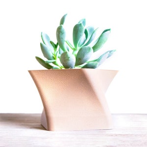 Pflanztopf , Saftiger Topf , Blumentopf , Baumschulvasen , Wohnkultur , Geschenkidee , Stifthalter , KALAHARI Modell , 3D-Druck