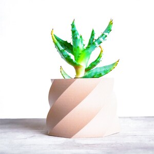 Puede incluir: Una maceta hexagonal de color rosa claro con un diseño de espiral. Una planta suculenta verde está creciendo dentro de la maceta.
