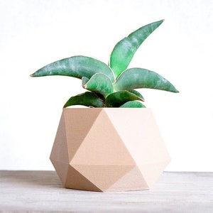 Pode incluir: Uma planta suculenta verde em um vaso geométrico de cor marrom claro. O vaso tem um design único e facetado.