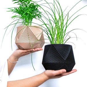 Large Plant Pot | Indoor Planter | Original Cache Pot | Plant Lover Gift | Wood Succulent Planter