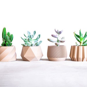 Amazing Set of 4 Plant Pot | Succulent Planter Set | Wood Plant Pot | Desk Planter | Planter Gift