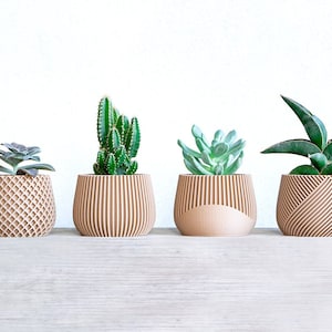 Beautiful Set of 4 Plant Pot | Succulent Planter Set | Wood Plant Pot | Desk Planter | Planter Gift