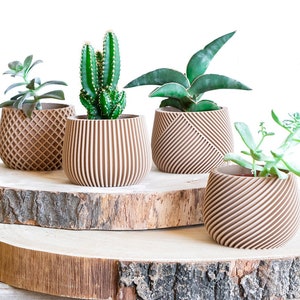 Beautiful Set of 4 Plant Pot | Succulent Planter Set | Wood Plant Pot | Desk Planter | Planter Gift