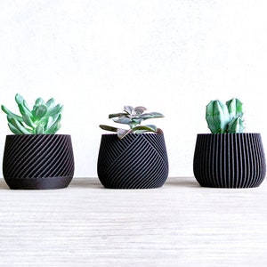 Puede incluir: Tres pequeñas plantas suculentas en macetas cilíndricas negras texturizadas. Las macetas tienen un patrón rayado.
