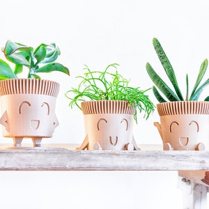 May include: Three small potted plants with smiling faces on their pots. The plants are green and the pots are brown.