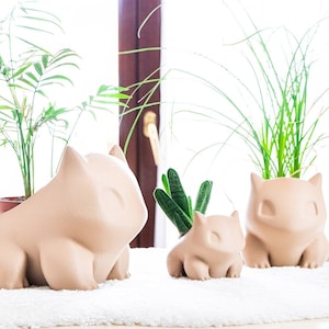 Puede incluir: Tres macetas de cerámica con forma de personajes de Pokémon, con plantas verdes creciendo en su interior. Las macetas son de color beige y tienen una superficie texturizada. Las plantas son de diferentes tamaños y tipos.