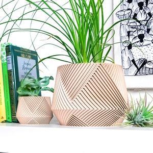 Pot de plantes succulentes imprimé en 3D | Vase géométrique moderne | Petit pot pour cactus d&#39;intérieur