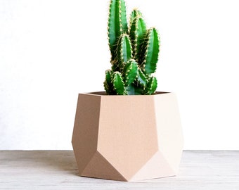 May include: A light brown geometric planter with a cactus plant inside. The cactus has multiple stems and is green with light green spines.