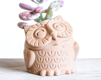 Cute Owl planter | Wood Cache pot | Owl Succulent Plant Stand | Wood Air plant holder | Owl Succulent Planter