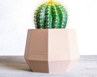 May include: A small, green cactus with yellow spines sits in a light brown, geometric planter. The planter has a hexagonal shape and is made of a textured material.